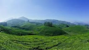 Munnar Misty High Ranges and Tea Garden Valleys in Kerala