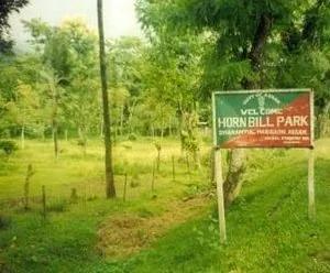 Chirmiri Landmark and Heritage View 6