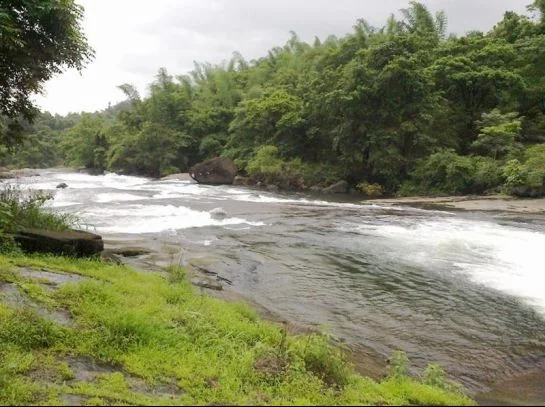 Historic Nilambur Forest Landscapes and Timber Heritage in Kerala