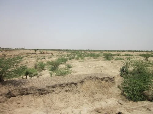 Niwai Heritage Shrines & Ancient Monuments, Niwai