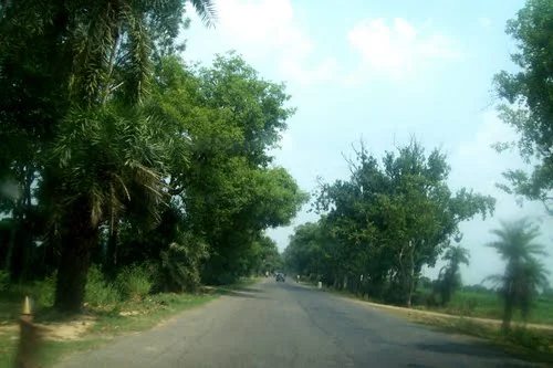 Vaniyambadi Wildlife Sanctuary and Nature Reserve