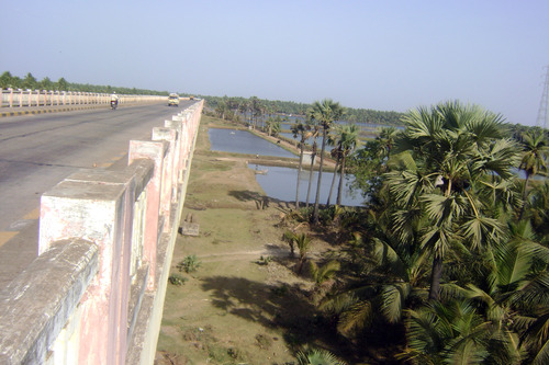 Palakollu