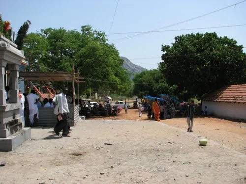 Pallapatti Landscape and Agricultural Groves