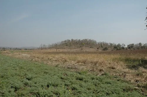 Pandharkawada Countryside Basin