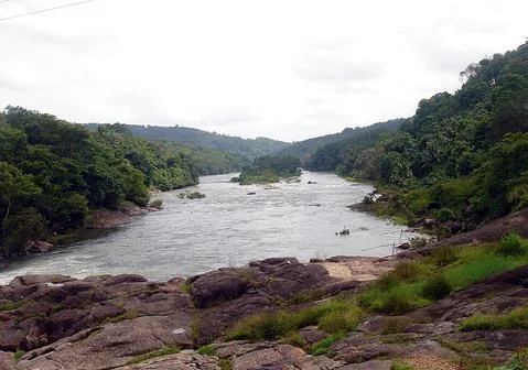 Lush Green Riverine Countryside and Waterways in Pathanamthitta