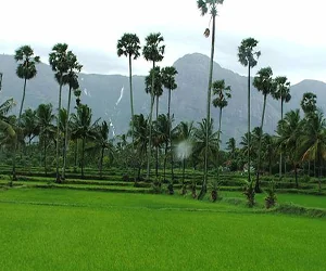 Pollachi Wildlife Sanctuary and Nature Reserve