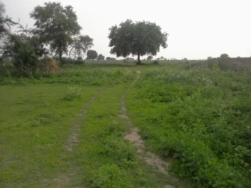 Washim Wildlife Sanctuary and Nature Reserve
