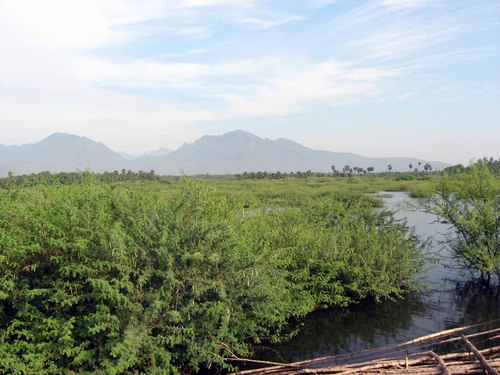 Puliyangudi 