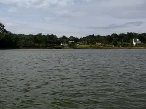 Punganur Lake Boating and Waterfront Gardens in Yelagiri