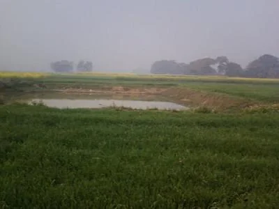 Samdhan Agricultural Belt