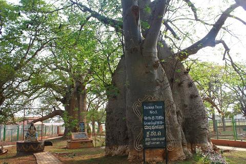 Savanur