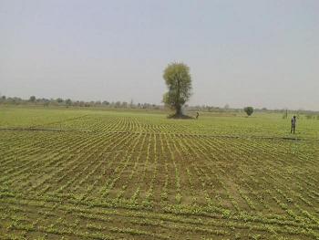 Seoni Malwa