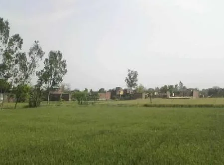 Srivilliputhur Wildlife Sanctuary and Nature Reserve