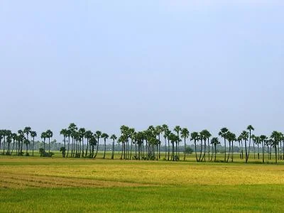 Guntakal Landmark and Heritage View 6