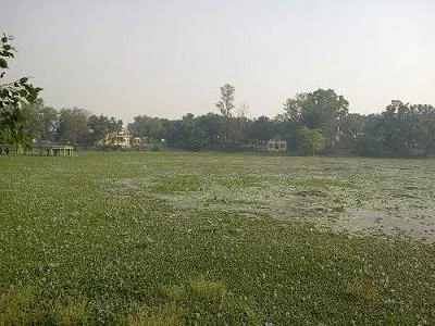 Sivasagar Wildlife Sanctuary and Nature Reserve