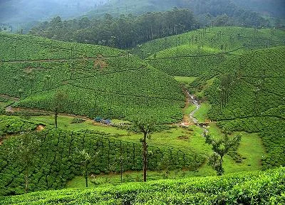 Valparai Wildlife Sanctuary and Nature Reserve