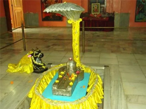 Parad Shivling Haridwar