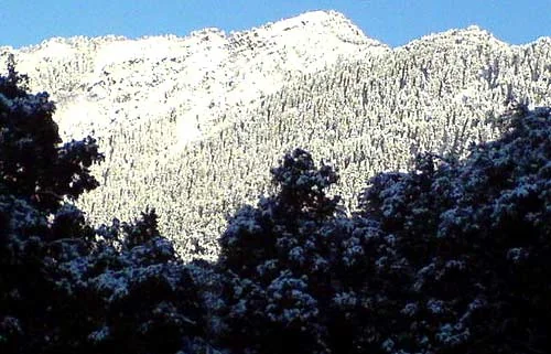 Mullayanagiri 1930-Meter Highest Mountain Peak in Karnataka