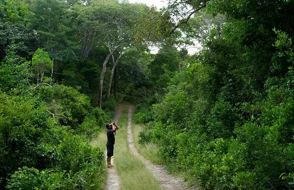 Parappa Wildlife Sanctuary