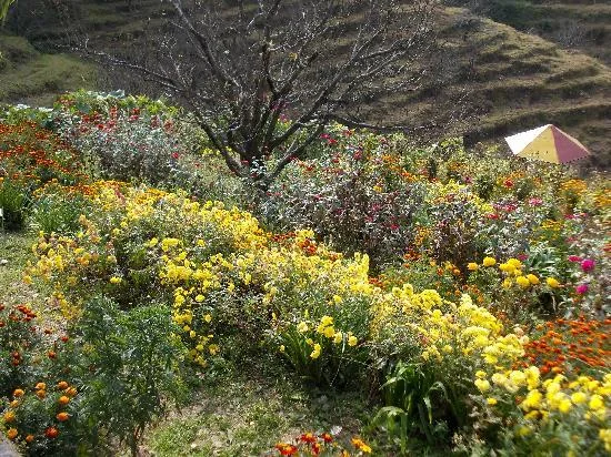 Lush Green Botanical Landscapes and Hilltop Garden Viewpoints in Karnataka