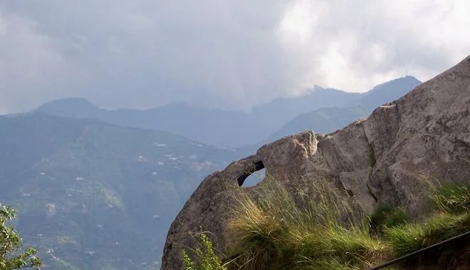 Chauli Ki Jali
