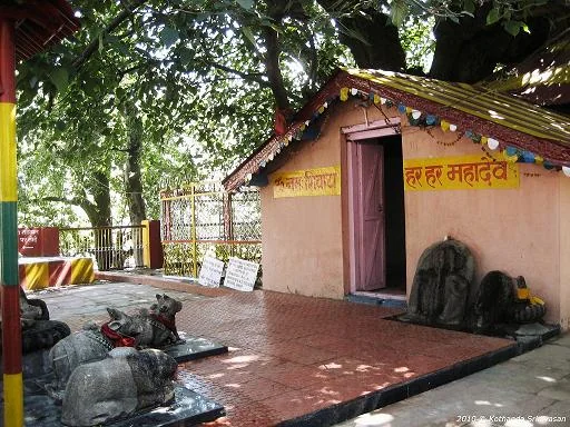 Kalpavriksha