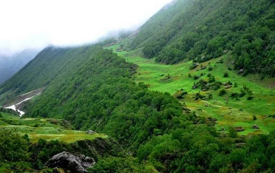 Nanda Devi National Park