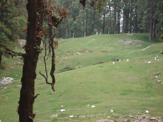Chakrata 