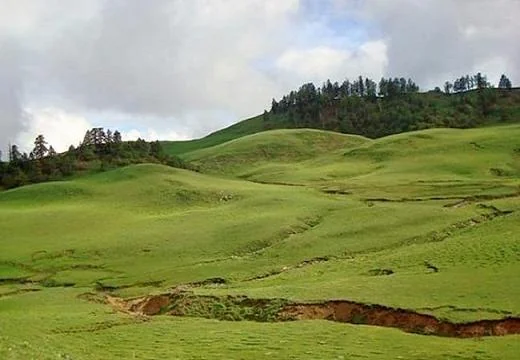 Dayara Bugyal in Uttarkashi, Uttarakhand
