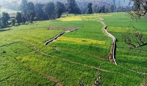Maletha Village 