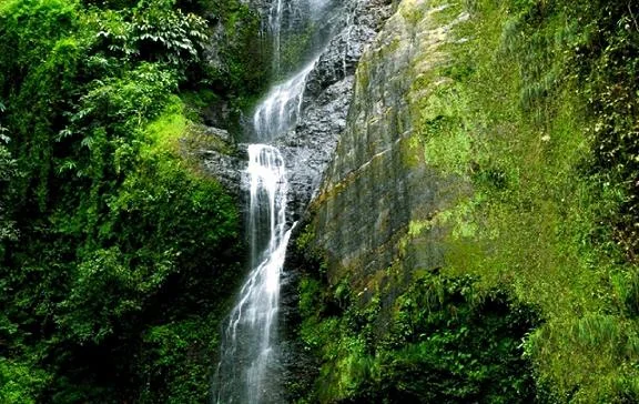Chadwick Falls Glen Forest Shimla