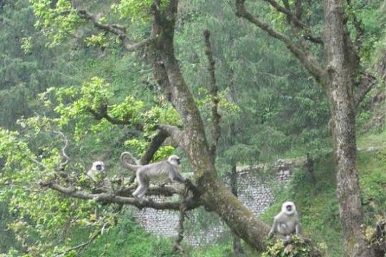 Kalatop Wildlife Reserve