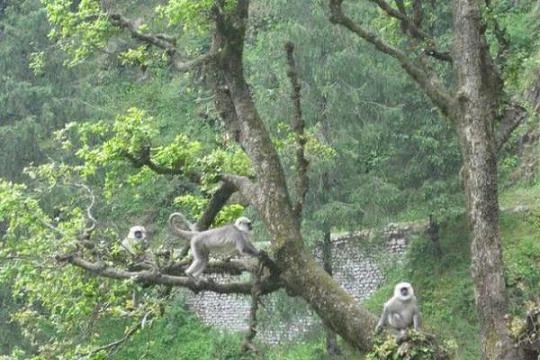 Kalatop Wildlife Reserve