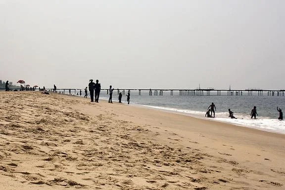 Golden Sand Coastline and Coconut Palm Estuaries in Kerala