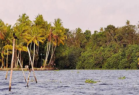 Vembanad Lake