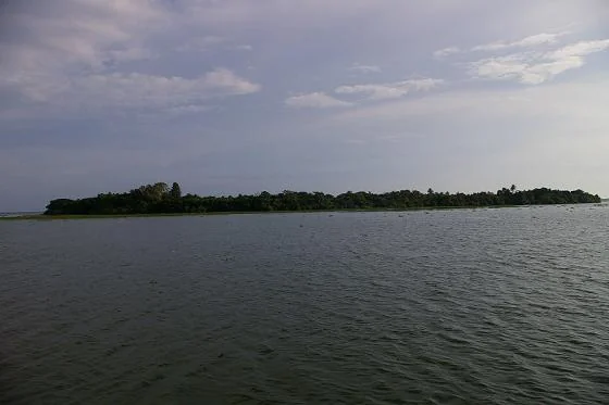 Pathiramanal Island Lush Mangrove Trails and Vembanad Lake Bird Sanctuary