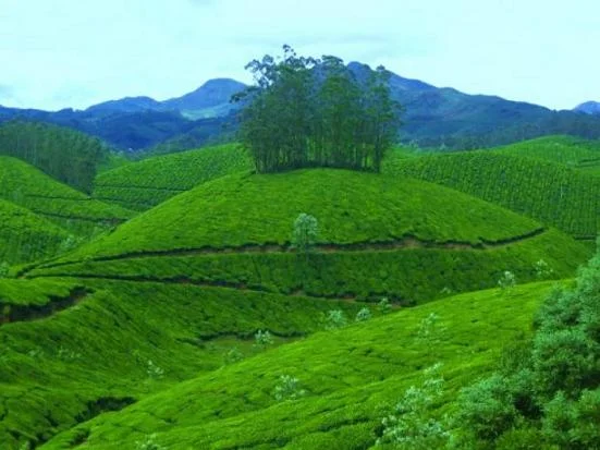 Chithirapuram