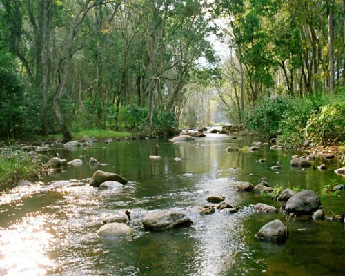 Marayoor
