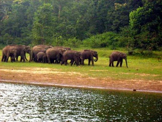 Periyar National Park