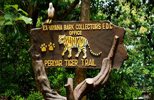 Periyar Tiger Trail