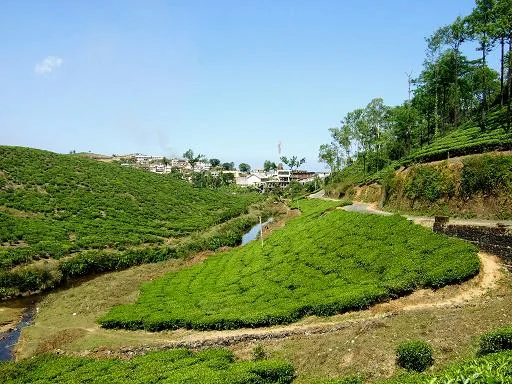 Vandiperiyar