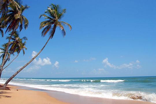 Goa