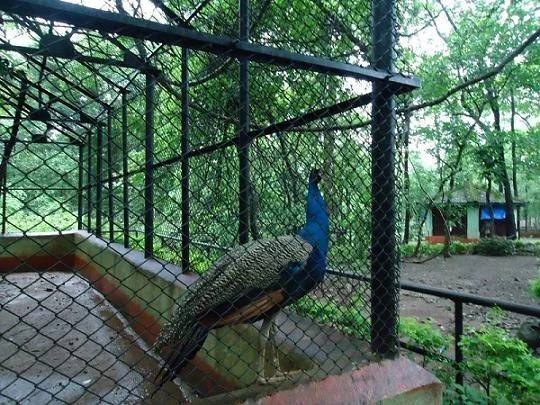 Bondla Wildlife Sanctuary