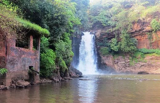 Tiered Natural Waterfalls and Forest Plunge Pools in Karnataka
