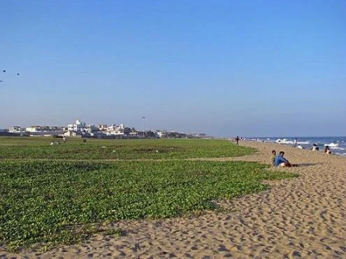 Breezy Ocean Waves and Secluded Coastal Reaches of Kannur