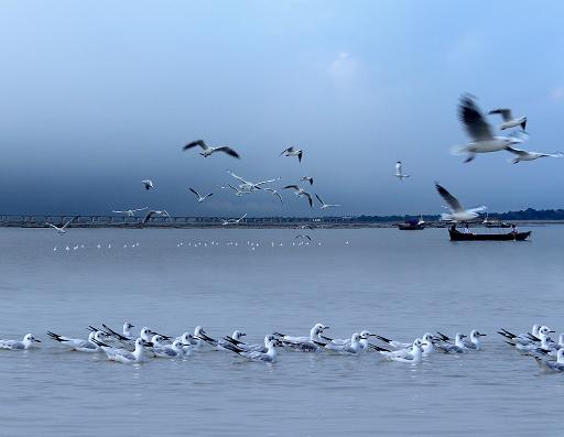 Triveni Sangam