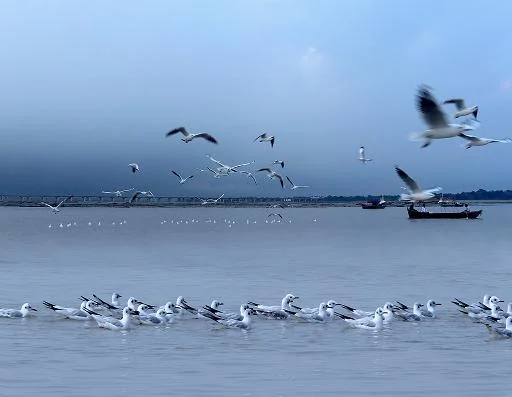Triveni Sangam