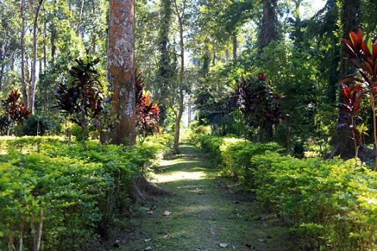 Botanical Gardens