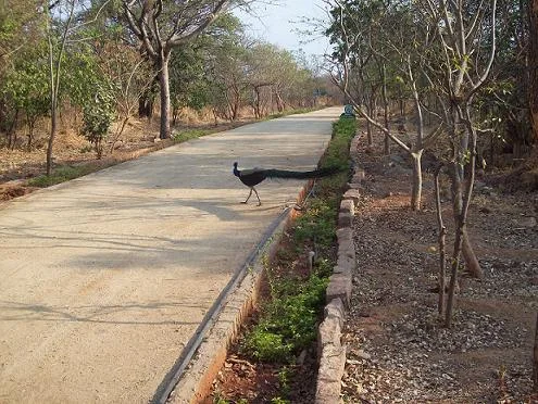 KBR National Park Hyderabad
