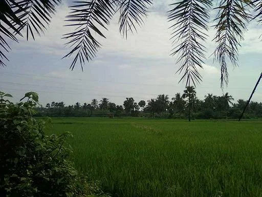 Konaseema